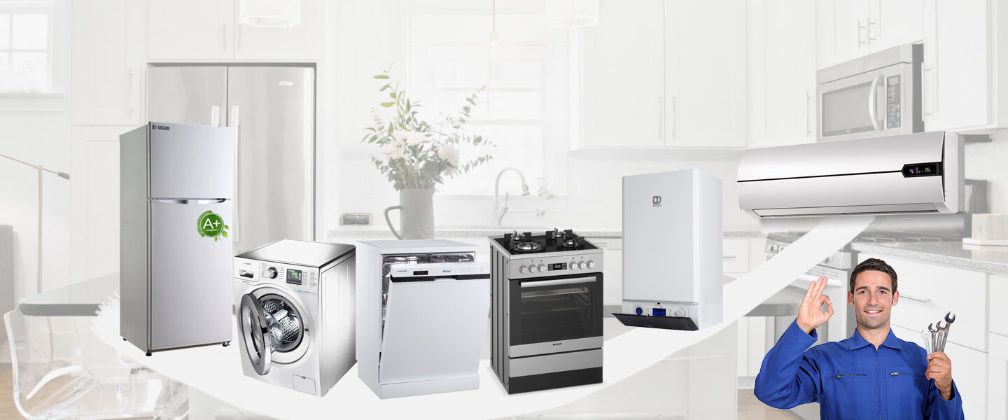 Kadıköy Electrolux Servisi